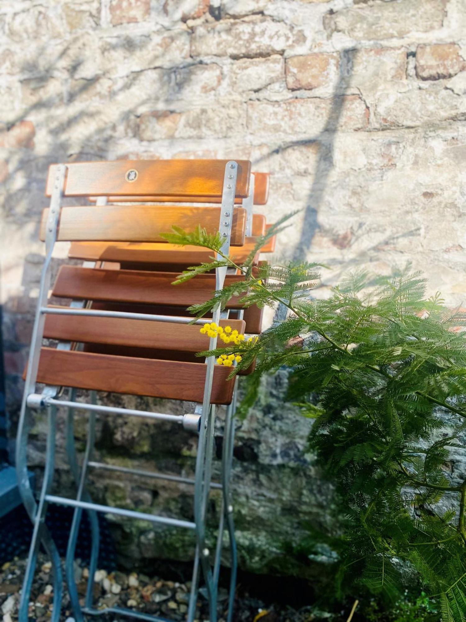 Lejlighed Zehuus Gartenstudio Mit Terrasse Köln